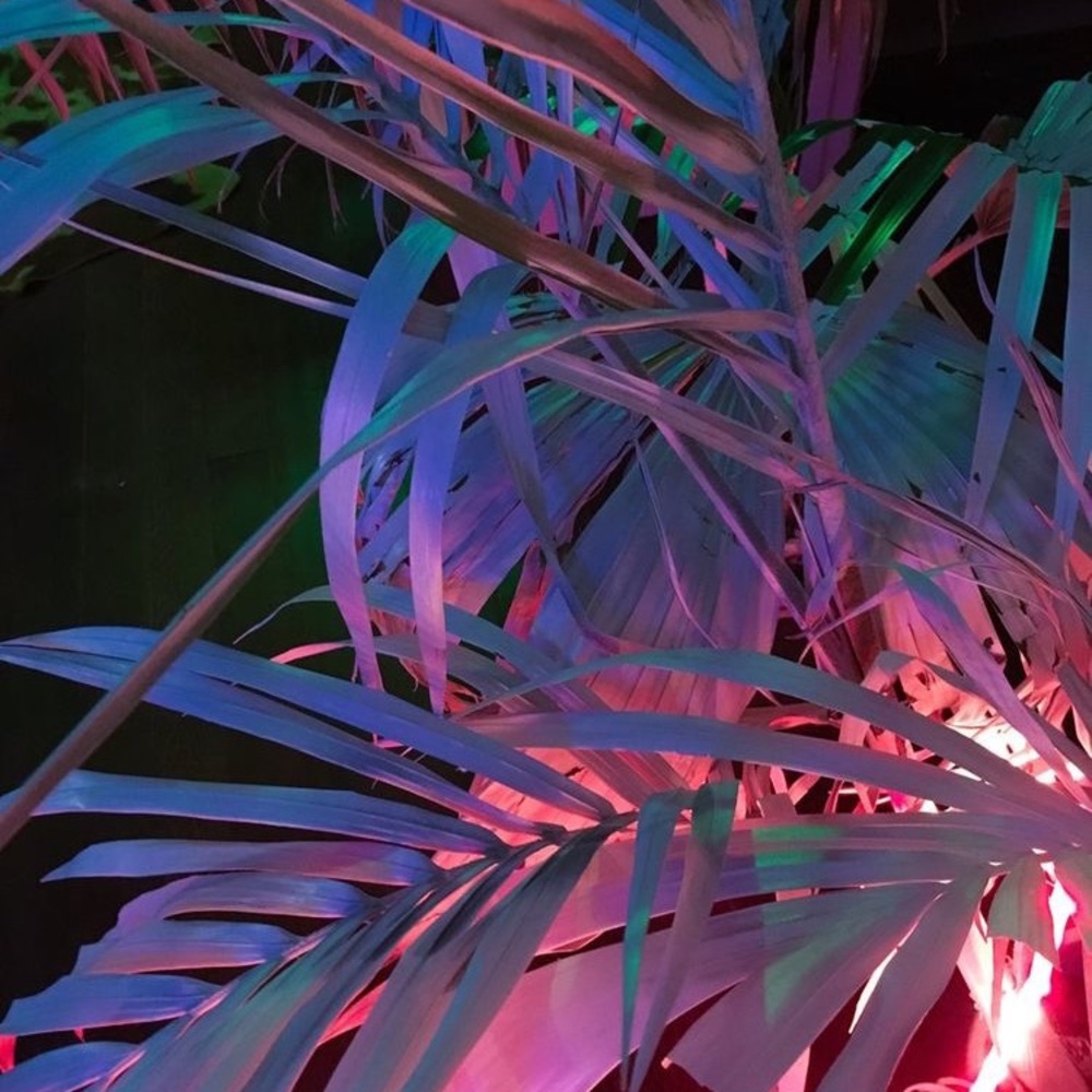 Meet your Posher, Ryleigh